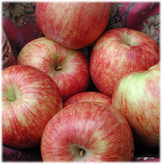 Jonagold apples