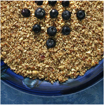 Applesauce-Blueberry Crumble