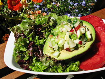 Avocado Boats