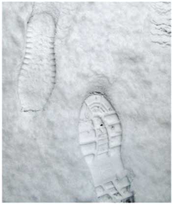 Snowfall Footprints