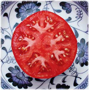 Tomato on Flower Dish