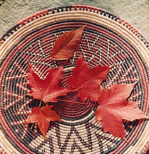 Leaves on Basket