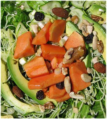 Papaya Avocado Salad