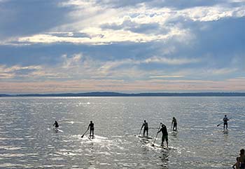 Paddleboard Surfers